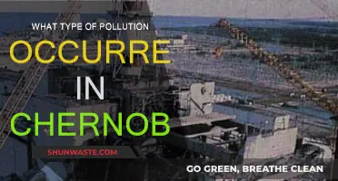 Chernobyl's Legacy: Understanding the Radioactive Pollution
