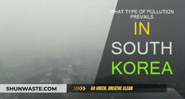 South Korea's Pollution Problem: Air, Water, and Soil