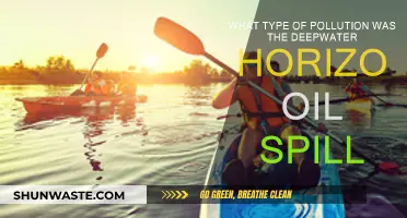 The Deepwater Horizon Oil Spill: A Devastating Marine Pollution Event