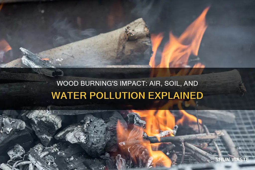 what type of pollutions does burning wood cause