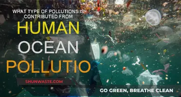 Human-Caused Ocean Pollution: Understanding Our Impact