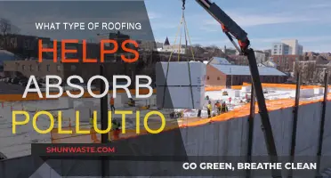 Green Roofs: Natural Air Purifiers