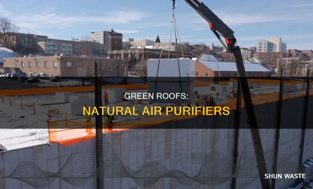 what type of roofing helps absorb pollution