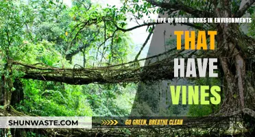 Vines and Roots: Exploring Adaptable Root Systems in Vine-Rich Environments