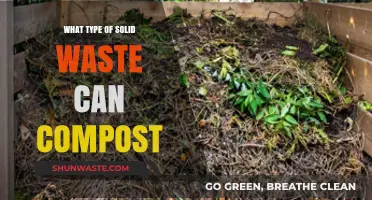 Transforming Trash to Treasure: A Guide to Compostable Solid Waste