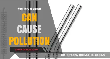 Straws Unveiled: The Hidden Environmental Cost of Your Daily Choice