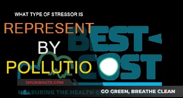 Pollution Stress: Environmental Factors and Their Mental Impact