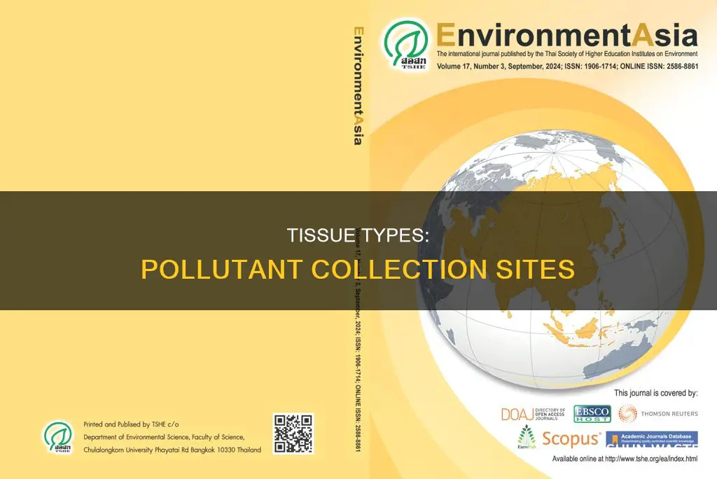 what type of tissue do pollutants collect in
