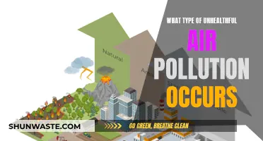 Air Pollution: Unhealthy Types and Their Impact