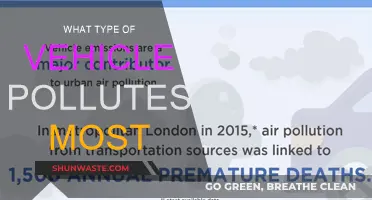 Vehicle Emissions: Who's the Worst Polluter?