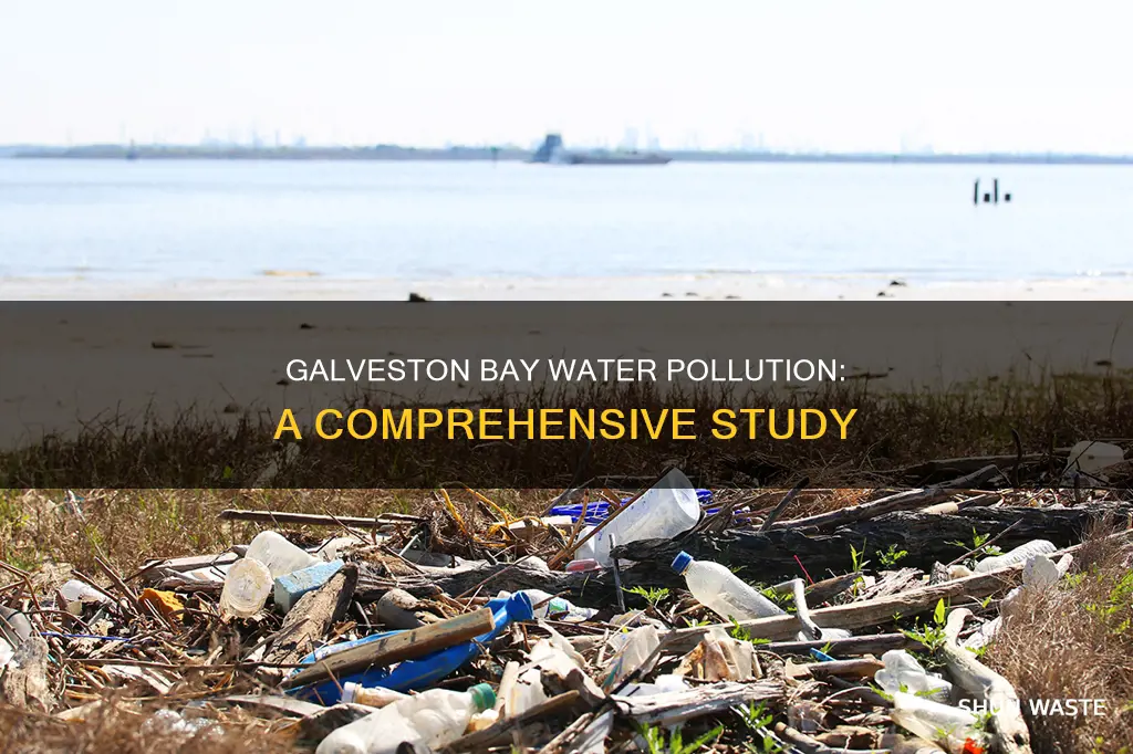 what type of water pollution galveston bay case study