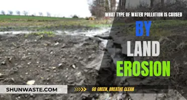 Erosion's Impact: How Soil Loss Contaminates Our Waterways