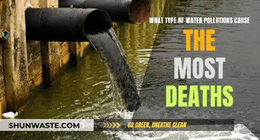 Deadly Waters: Understanding the Impact of Contaminants on Global Mortality