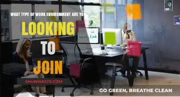 Finding Your Ideal Work Environment: Culture, Collaboration, and Growth Opportunities