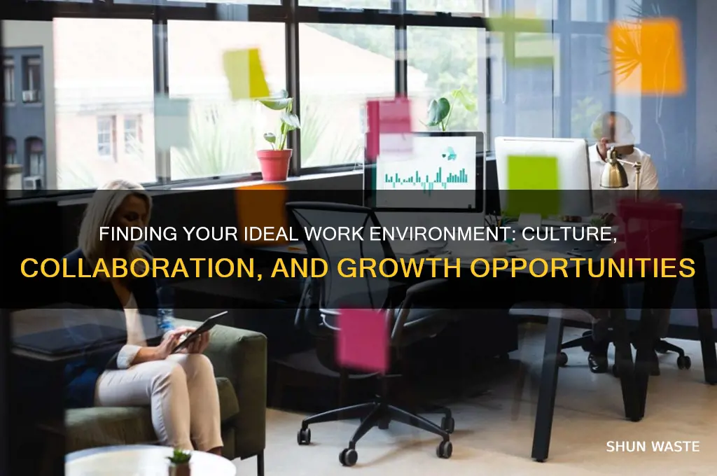what type of work environment are you looking to join