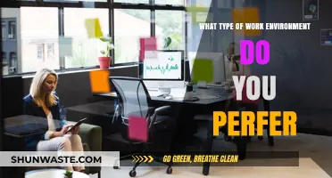 Finding Your Ideal Workspace: Preferences for a Productive Work Environment