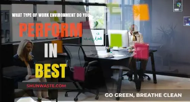 Discover Your Ideal Work Environment: Boost Productivity and Job Satisfaction