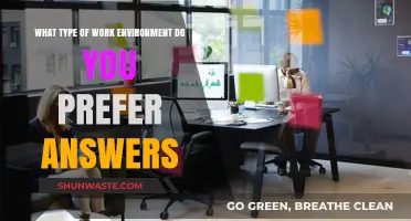 Exploring Ideal Work Environments: Preferences, Productivity, and Personal Satisfaction