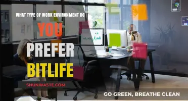 Crafting Your Ideal BitLife Work Environment: Preferences and Productivity Tips