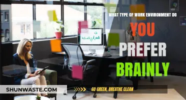 Ideal Work Environment: Preferences, Productivity, and Personal Success Strategies