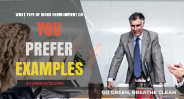 Exploring Ideal Work Environments: Examples of Preferred Workplace Settings