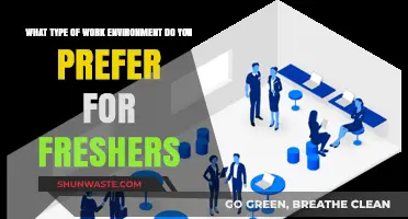 Ideal Work Environments for Freshers: Finding the Perfect Fit