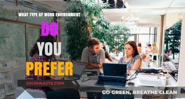 Crafting Your Ideal Workspace: Exploring Preferred Work Environment Types