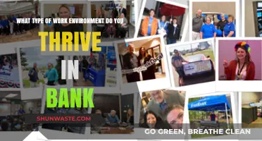 Banking on Success: Discovering Your Ideal Work Environment in Finance