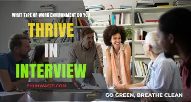 Discovering Your Ideal Work Environment: Interview Tips for Success