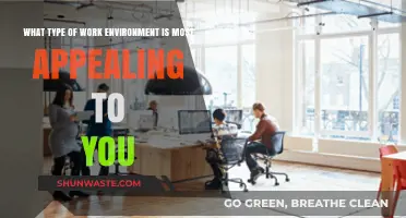 Crafting the Ideal Workspace: My Most Appealing Work Environment