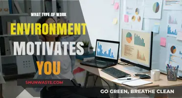 Discovering the Ideal Work Environment to Fuel Your Motivation