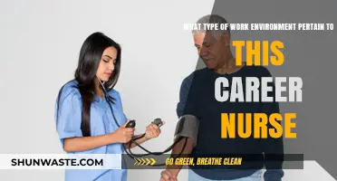 Exploring Ideal Work Environments for a Career Nurse: Insights and Tips