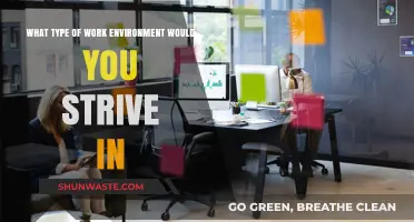 Thriving in Harmony: Crafting Your Ideal Work Environment for Success