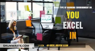 Unlocking Productivity: Discovering Your Ideal Work Environment for Success