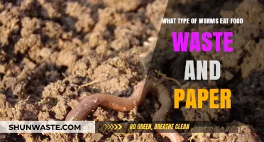Eco-Friendly Decomposers: Worms That Thrive on Food Waste and Paper