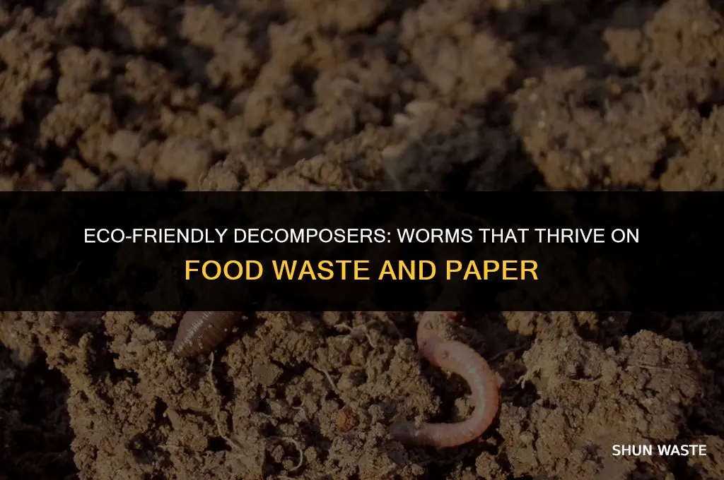 what type of worms eat food waste and paper