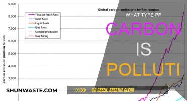 Carbon Pollution: Understanding the Different Types of Carbon Emissions