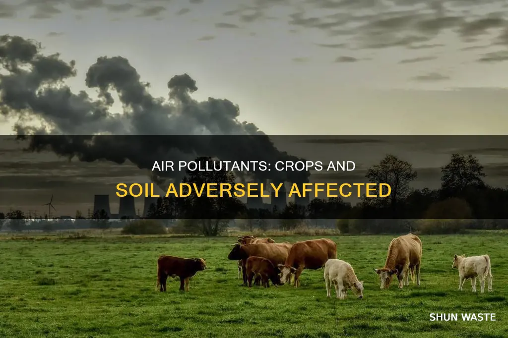 what types of air pollutants affect crops and soil