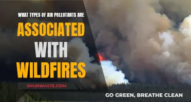 Air Pollutants and Wildfires: Understanding the Connection
