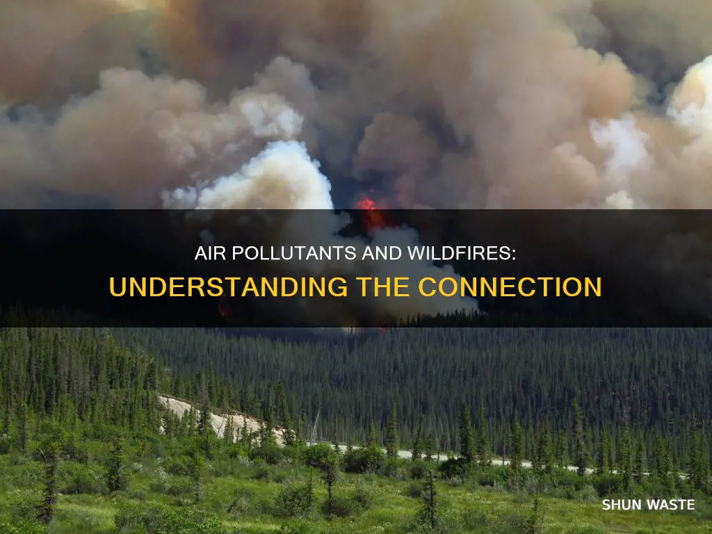 what types of air pollutants are associated with wildfires