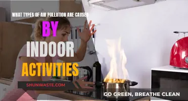 Unseen Indoor Air Pollutants: The Hidden Dangers of Everyday Activities