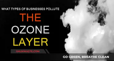Industries Damaging the Ozone Layer and Our Planet