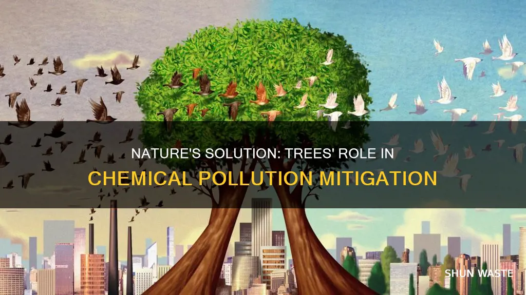 what types of chemical pollution can trees eliminate