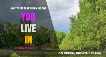 Exploring Diverse Habitats: Where Humans Can Thrive and Survive