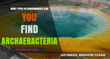 Exploring Archaebacteria: Diverse Environments Where These Ancient Microbes Thrive