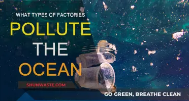 Industrial Polluters: Factories Poisoning Our Oceans
