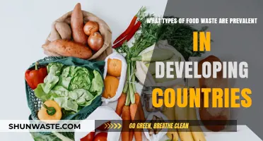 Understanding Food Waste: A Spotlight on Developing Nations