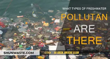 Freshwater Pollution: Understanding the Toxic Threats