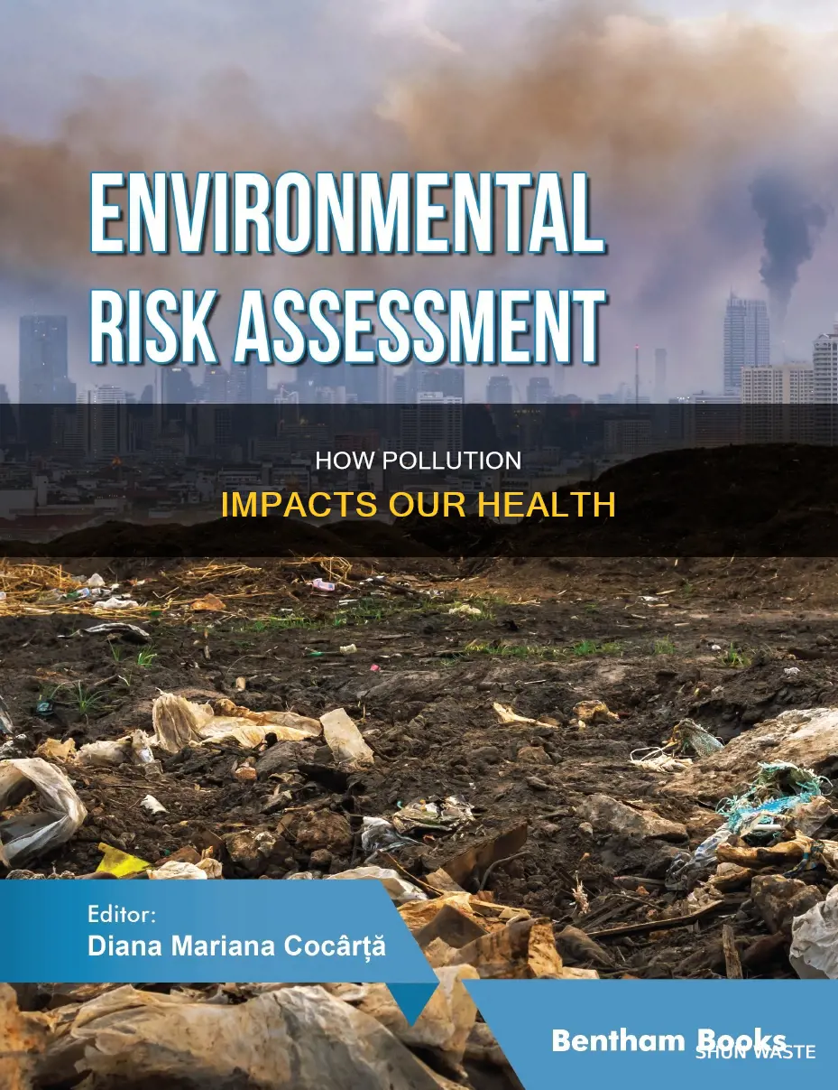 what types of health issues were linked to pollution