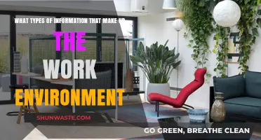 Key Elements Shaping a Productive and Healthy Work Environment